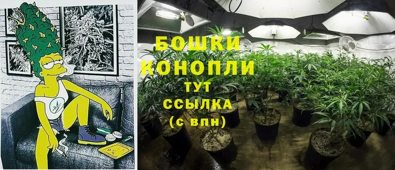 Шишки марихуана THC 21%  маркетплейс состав  Мичуринск 